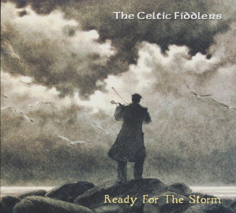 Ready For The Storm album cover